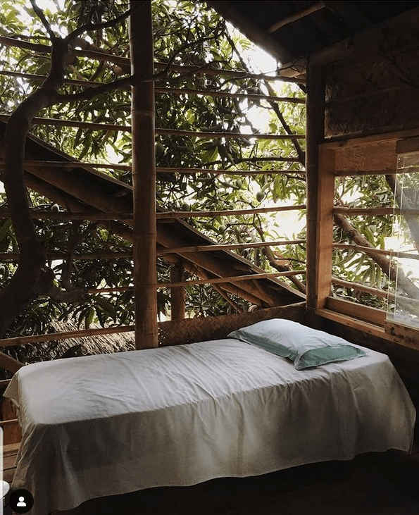 AuraKalari : A rustic treehouse room with a simple bed featuring white sheets and a blue pillow. Large windows offer views of leafy tree branches, creating an immersive nature experience. Wooden beams and bamboo stalks frame the space, highlighting the serene ambiance perfect for a tranquil vacation.