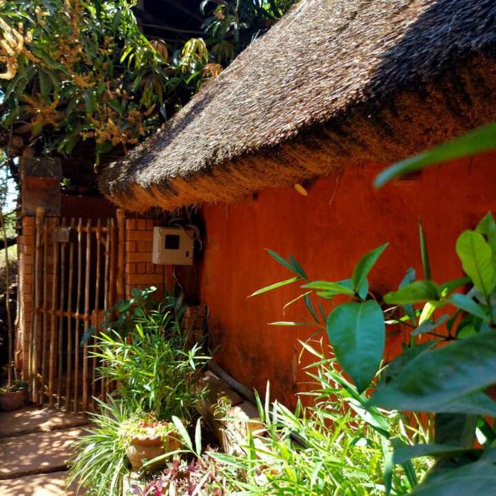 AuraKalari : A rustic AuraKalari mudhouse with orange-brown walls and a thatched roof is surrounded by lush green plants. A bamboo fence is visible to the left with a small meter box attached to the wall. Sunlight illuminates the scene, highlighting the vibrant colors and textures in this side view.