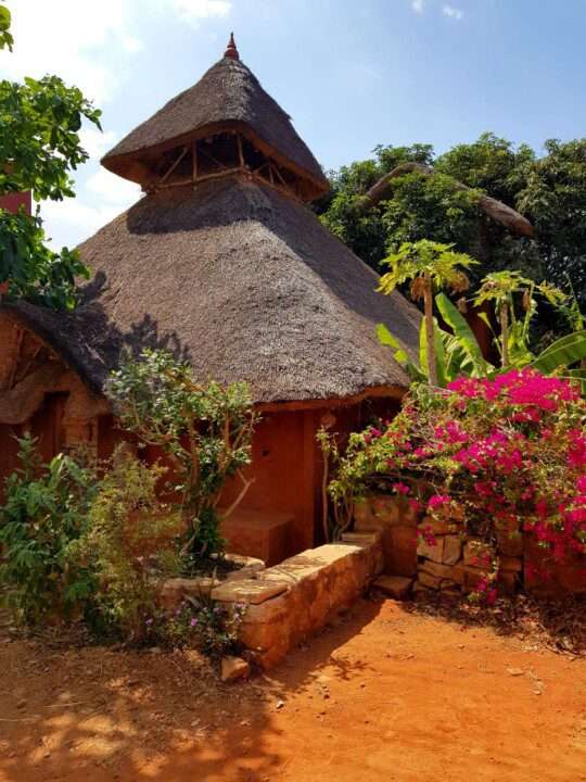 AuraKalari : A traditional thatched-roof house with two peaked layers, also known as AuraKalari outside during the sideview, stands amid lush greenery and vibrant bougainvillea. The mudhouse blends harmoniously with the red soil. Surrounding trees provide shade, and a clear blue sky is visible above.