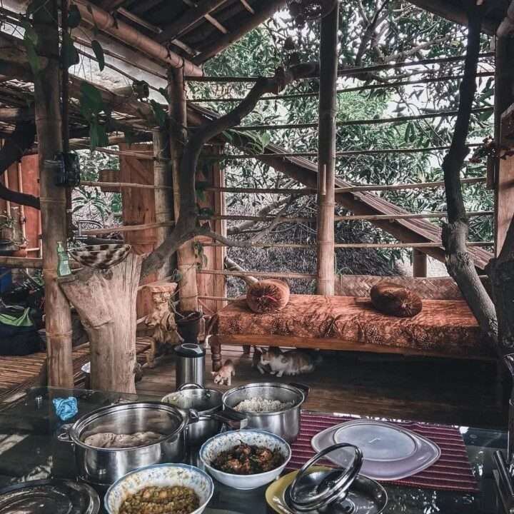 AuraKalari : A cozy, rustic AuraKalari Dinning Tree House interior with exposed wooden beams and a tree trunk integrated into the structure. A cushioned daybed is adorned with orange and brown pillows. On the glass-topped table, several dishes are served, including curry, dals, and rice. A cat is seen resting on the floor.