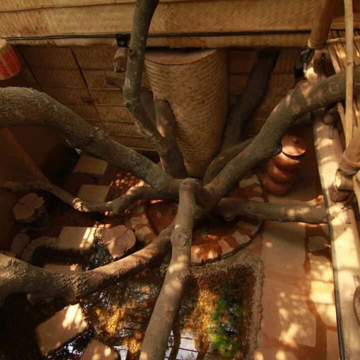 AuraKalari : Top-down view of a unique indoor patio with a large BigTree trunk spreading wide branches over stepping stones and water features. The setting includes rustic wooden and stone elements, with a woven mat wall and ceramic pots. The light filters warmly through the natural AuraKalari design, creating an inviting ambiance.