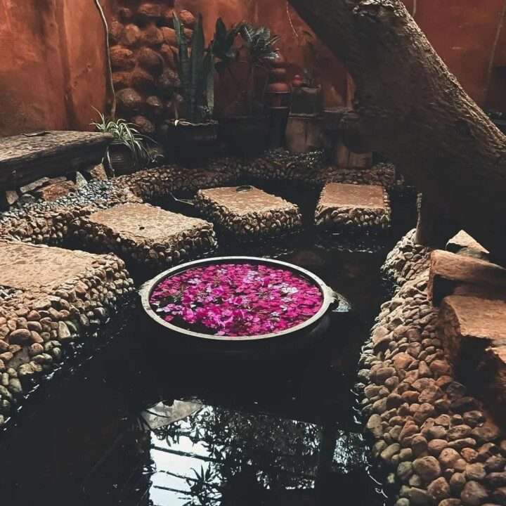 AuraKalari : A tranquil indoor garden scene features an AuraKalari courtyard pond with a circular water feature adorned with floating purple and pink flowers. The water is surrounded by large, flat stepping stones and pebble-covered ground. A tree trunk extends from the corner, and lush plants add greenery to the serene environment.